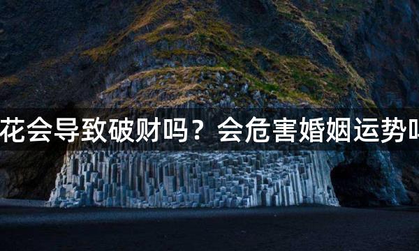 假花会导致破财吗?会危害婚姻运势吗?