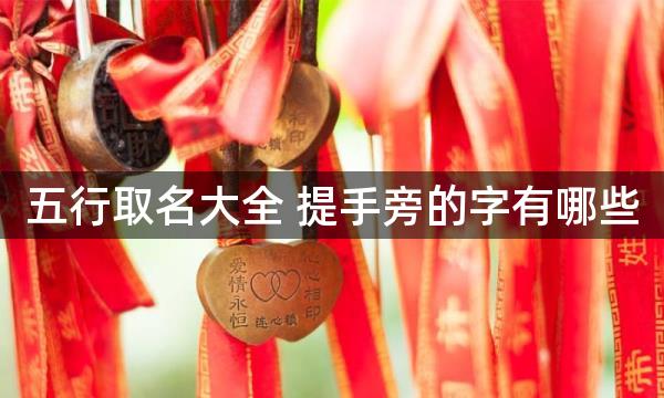 五行取名大全 提手旁的字有哪些