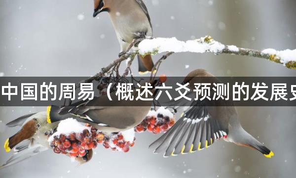 论中国的周易(概述六爻预测的发展史)