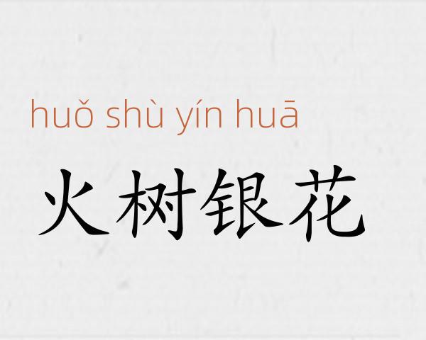 火树银花成语故事