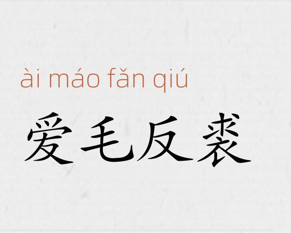 爱毛反裘成语故事