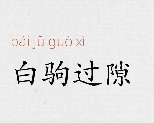 白驹过隙成语故事