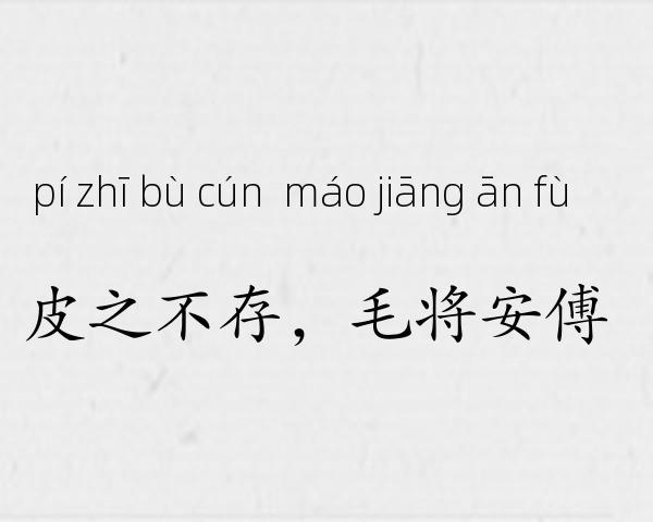 皮之不存，毛将安傅成语故事