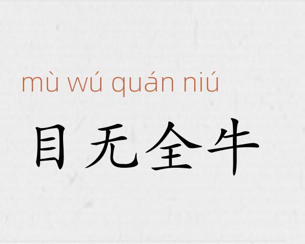 目无全牛成语故事