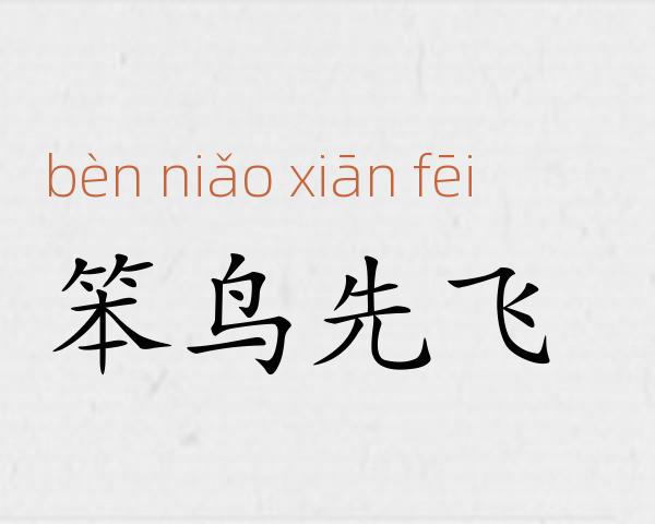 笨鸟先飞成语故事