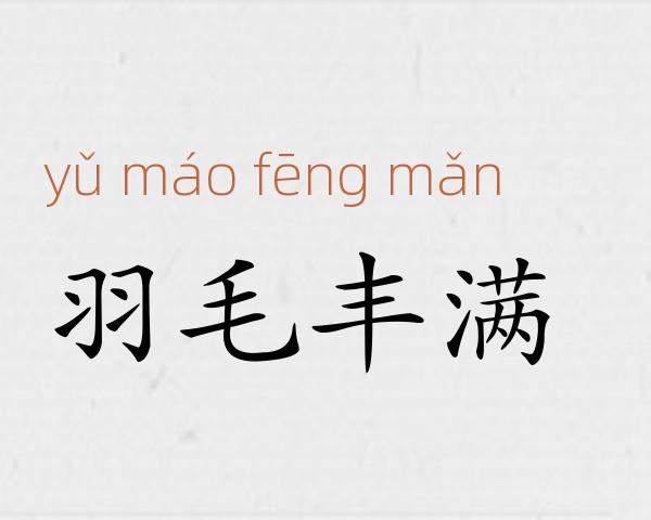 羽毛丰满成语故事