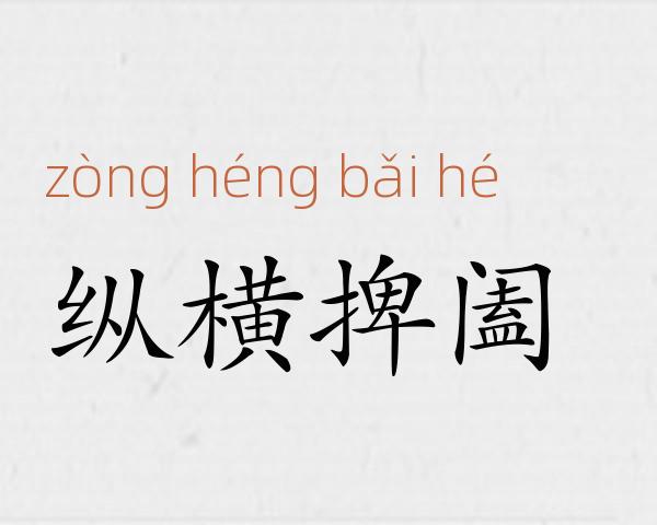 纵横捭阖成语故事