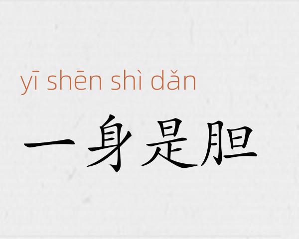 一身是胆成语故事