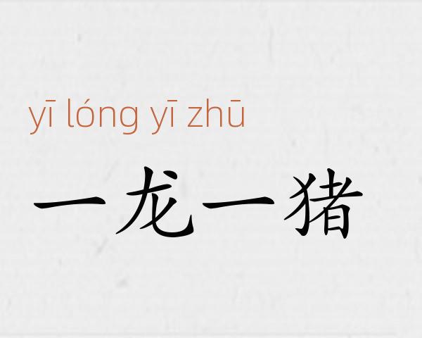 一龙一猪成语故事