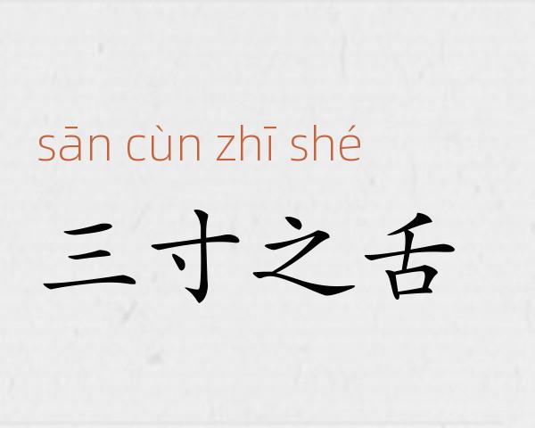 三寸之舌成语故事