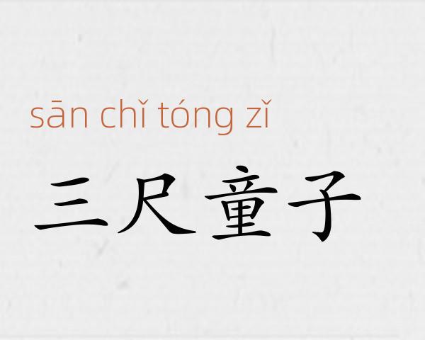 三尺童子成语故事
