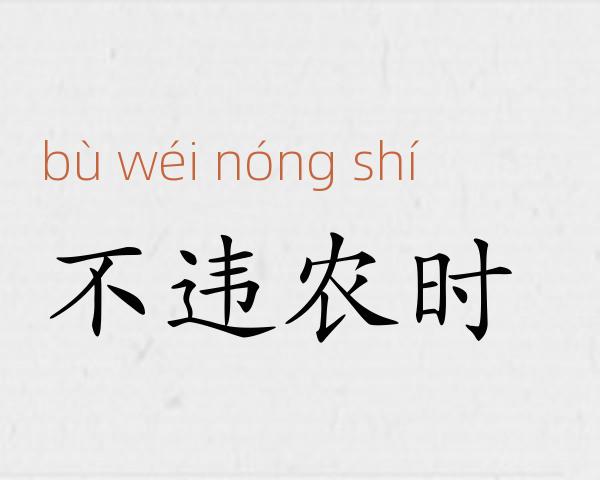 不违农时成语故事