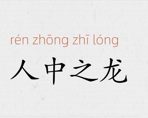 人中之龙成语故事