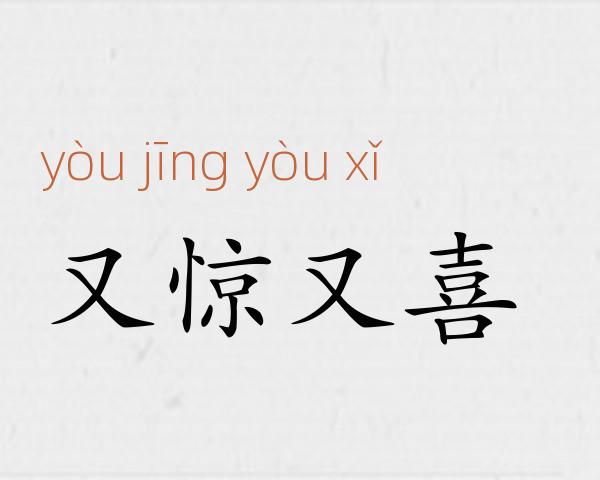 又惊又喜成语故事