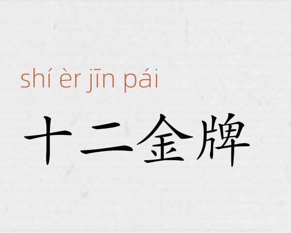 十二金牌成语故事