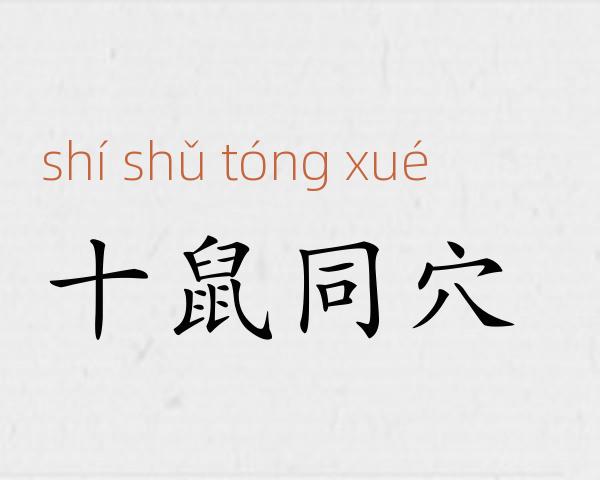 十鼠同穴成语故事