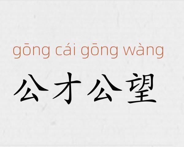 公才公望成语故事