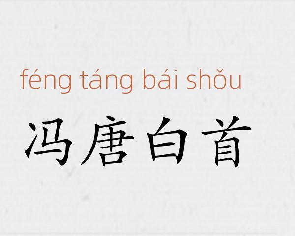 冯唐白首成语故事
