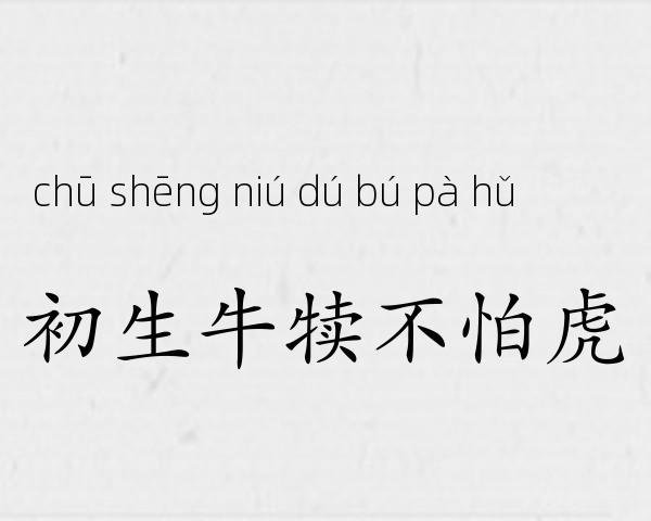 初生牛犊不怕虎成语故事