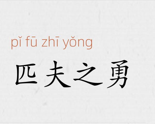 匹夫之勇成语故事