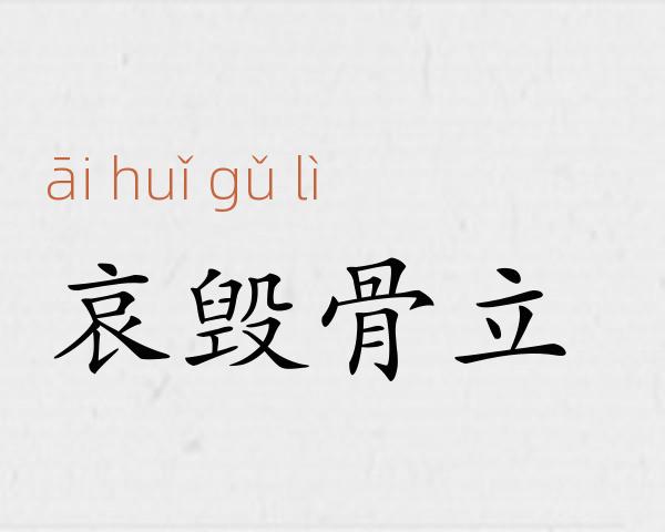 哀毁骨立成语故事