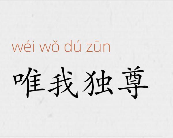 唯我独尊成语故事
