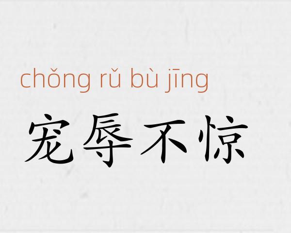 宠辱不惊成语故事