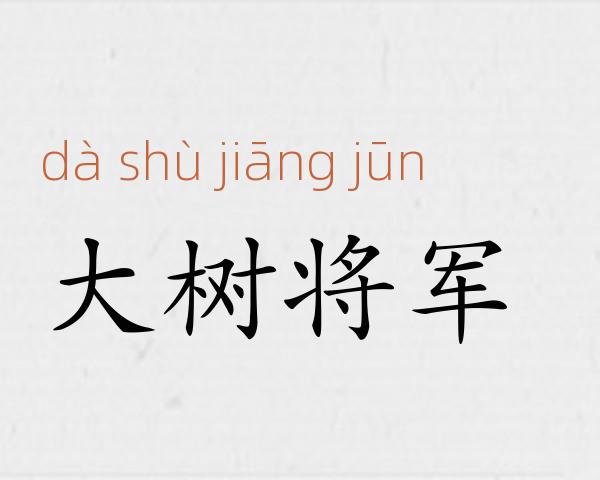 大树将军成语故事