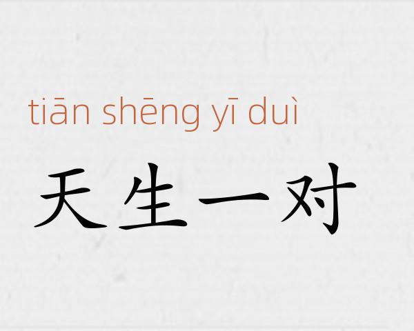 天生一对成语故事