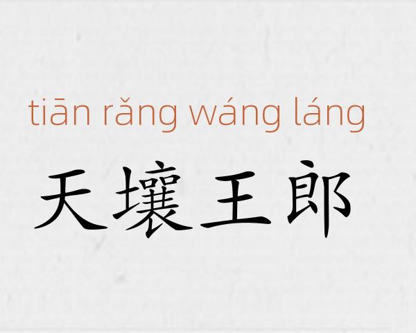天壤王郎成语故事