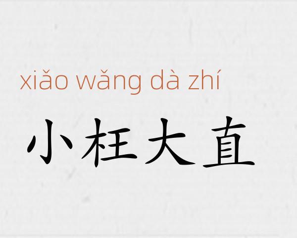 小枉大直成语故事