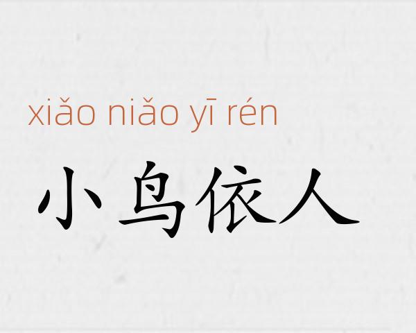 小鸟依人成语故事