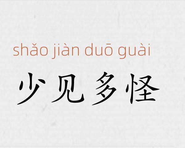 少见多怪成语故事