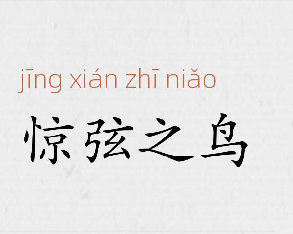 惊弦之鸟成语故事