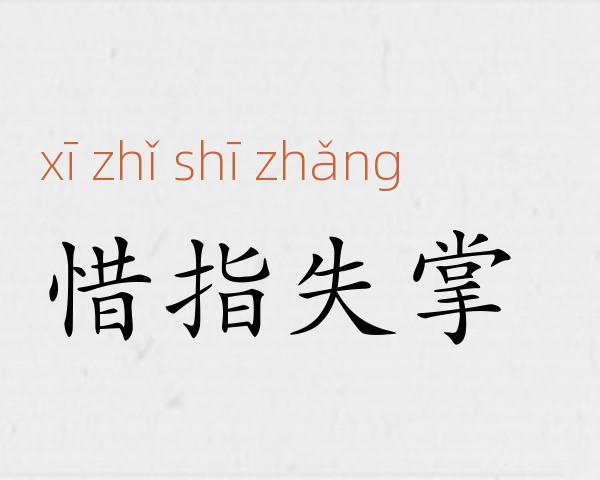 惜指失掌成语故事