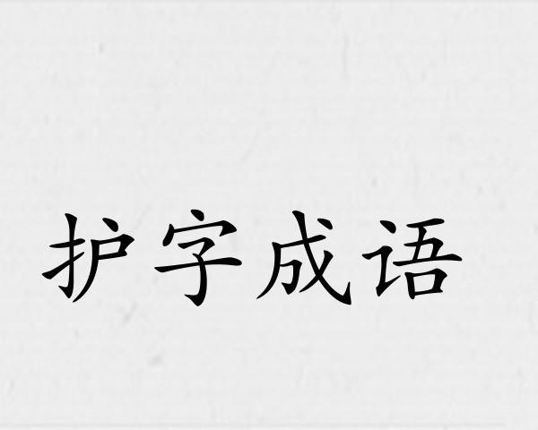 护字成语