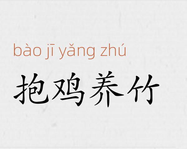抱鸡养竹成语故事