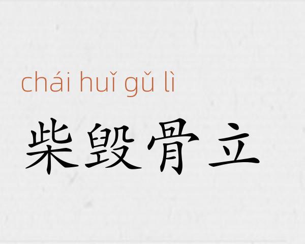柴毁骨立成语故事