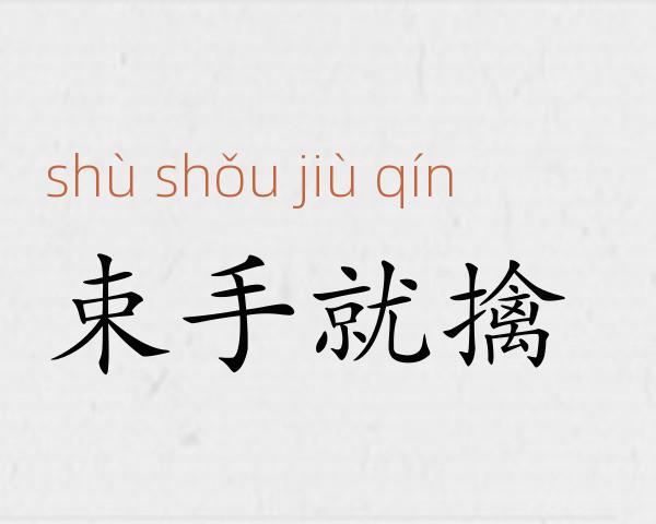束手就擒成语故事