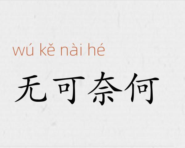 无可奈何成语故事