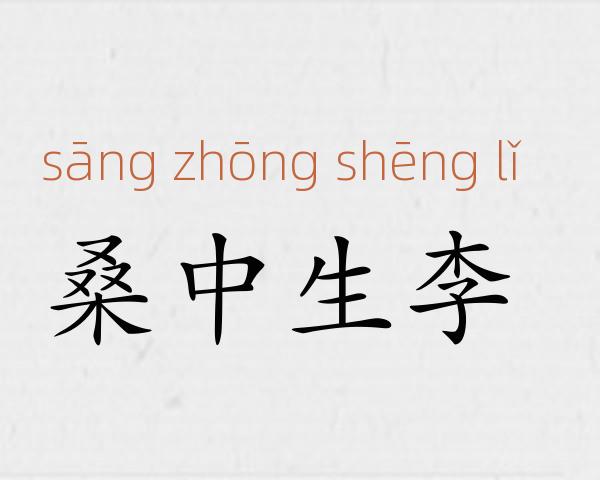 桑中生李成语故事