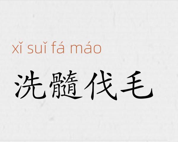洗髓伐毛成语故事