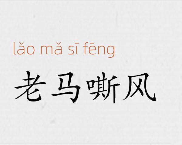 老马嘶风成语故事