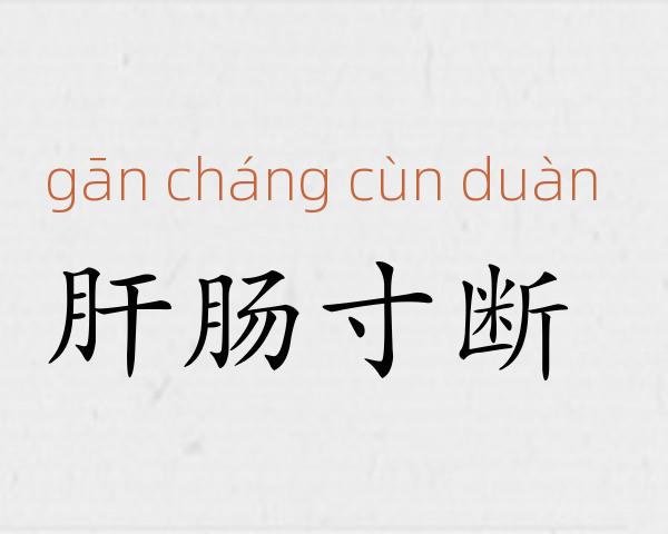 肝肠寸断成语故事