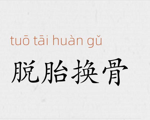 脱胎换骨成语故事