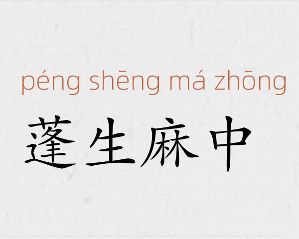 蓬生麻中成语故事