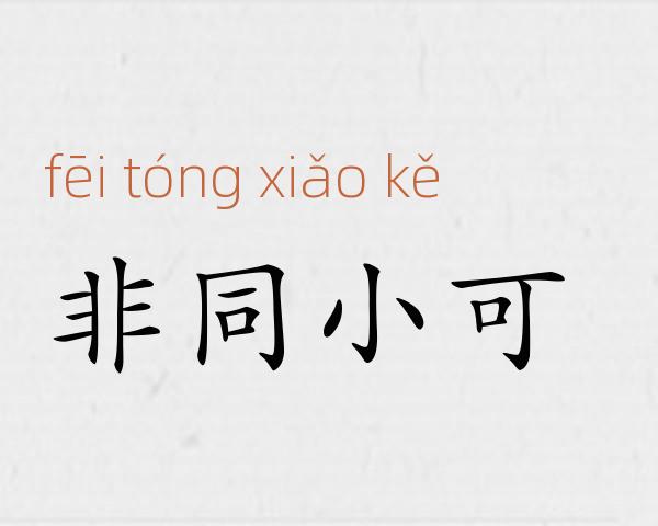 非同小可成语故事