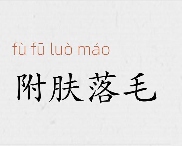 附肤落毛成语故事