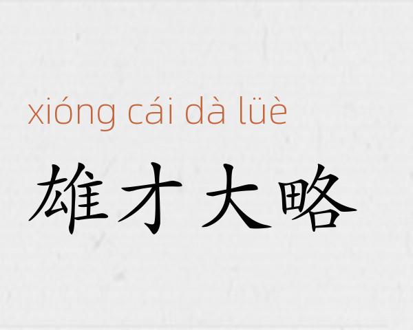 雄才大略成语故事