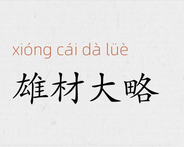 雄材大略成语故事